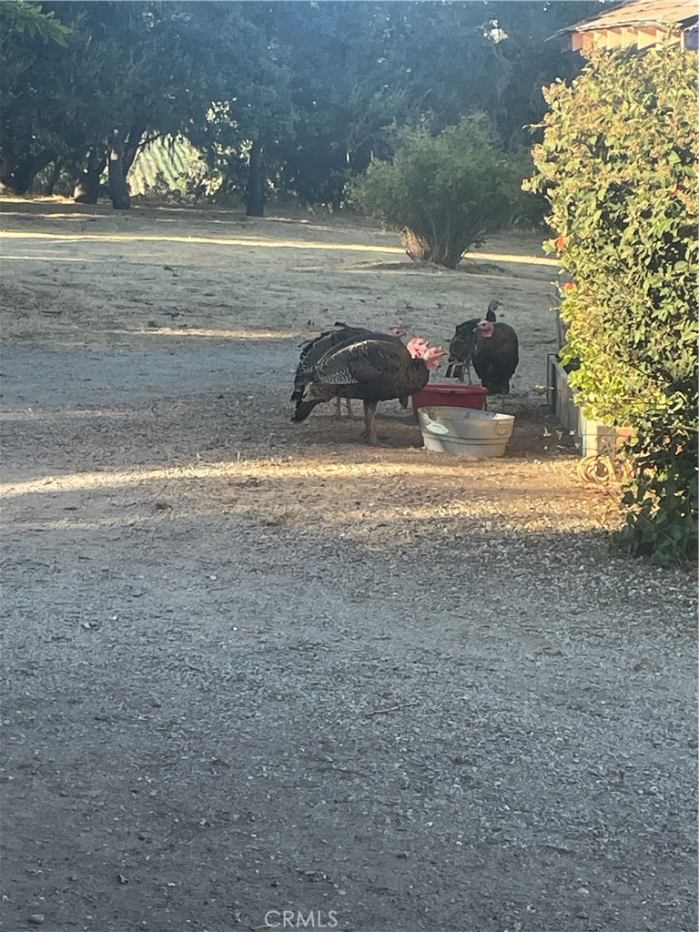 325 Los Robles Road 1