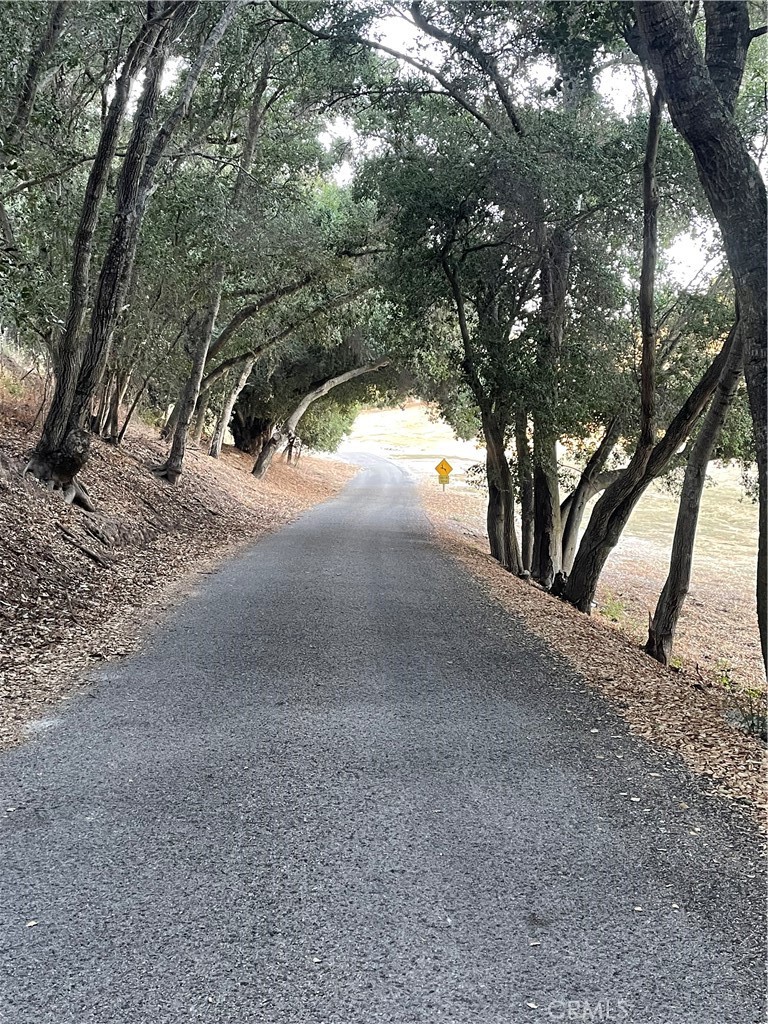 325 Los Robles Road 1