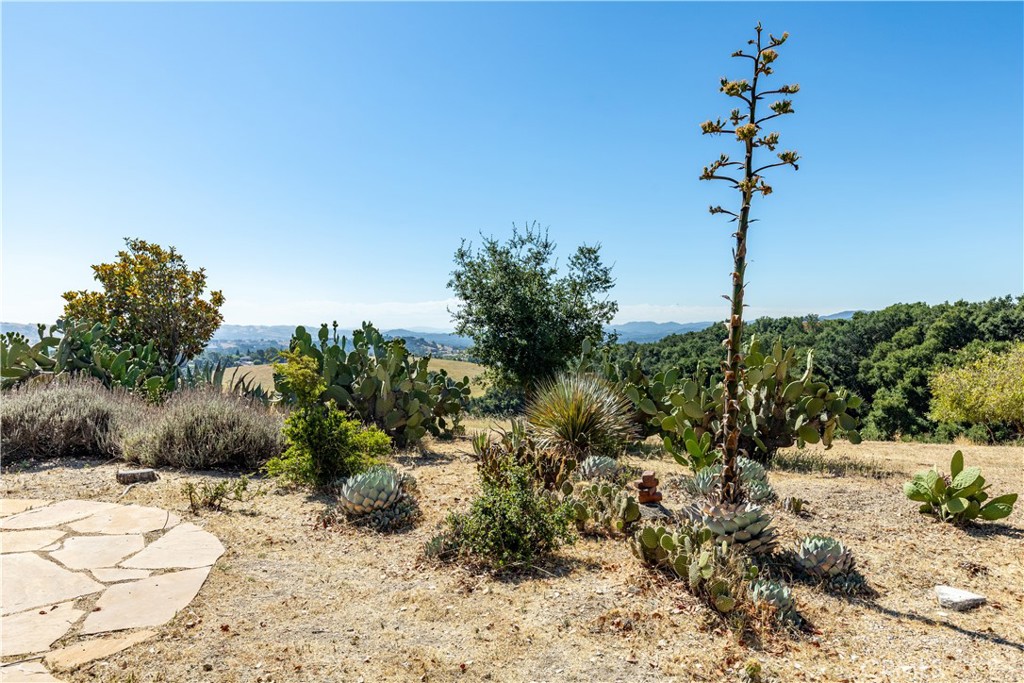 325 Los Robles Road 1