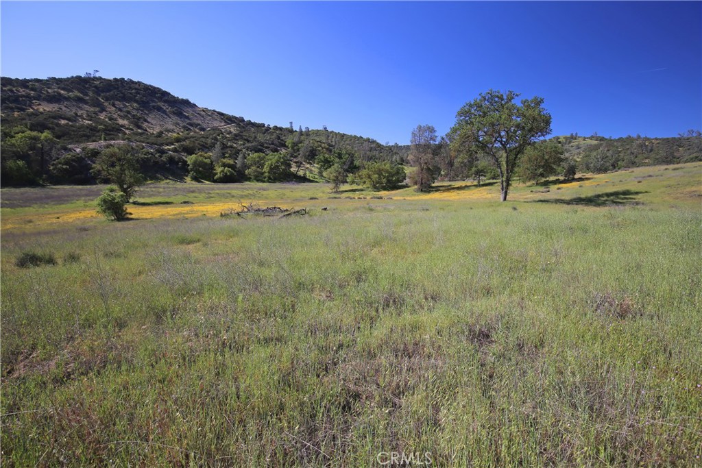 2250 La Panza Road