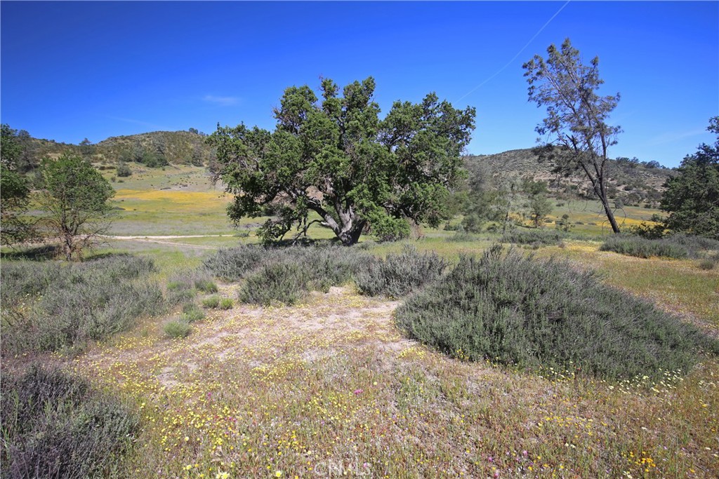 2250 La Panza Road