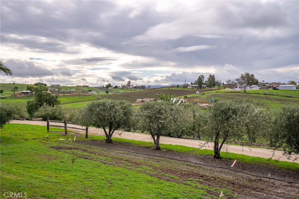 6175 Buckhorn Ridge Place