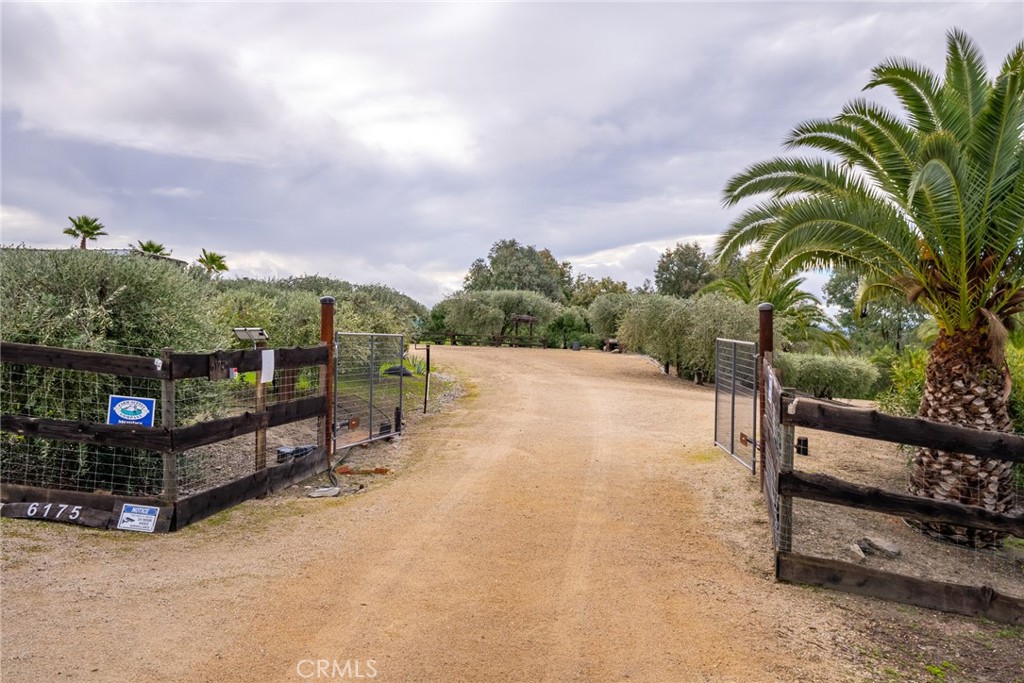 6175 Buckhorn Ridge Place