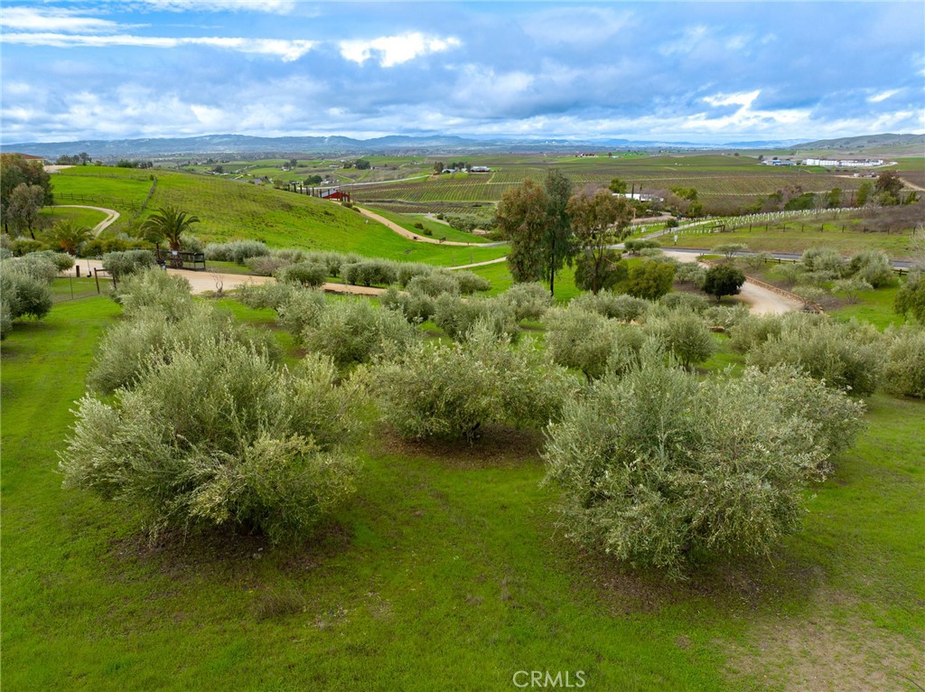 6175 Buckhorn Ridge Place