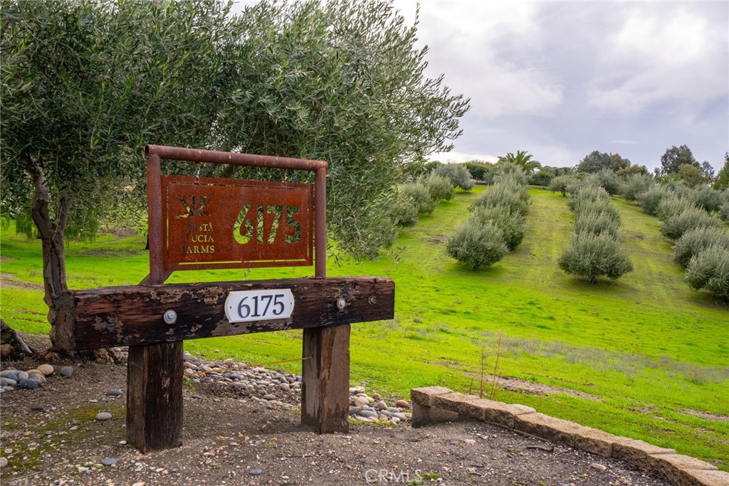 6175 Buckhorn Ridge Place