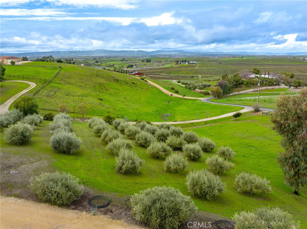 6175 Buckhorn Ridge Place