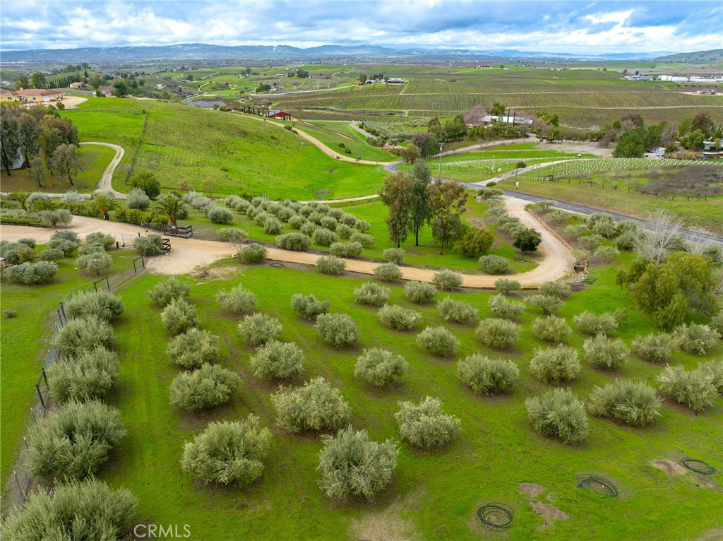 6175 Buckhorn Ridge Place