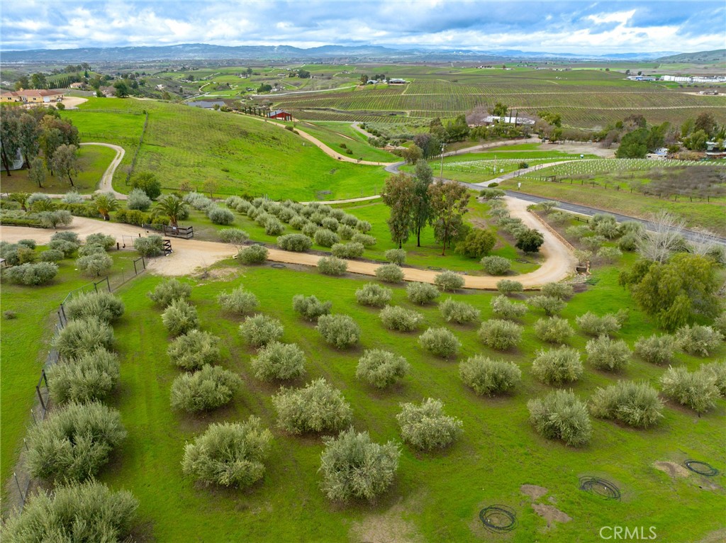 6175 Buckhorn Ridge Place