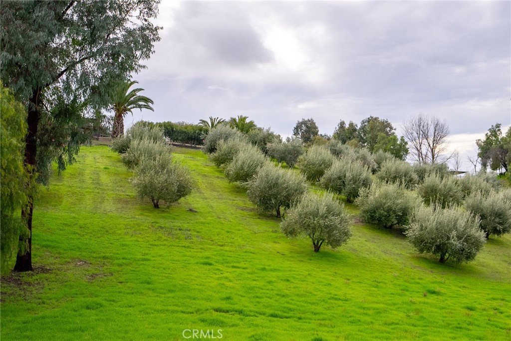 6175 Buckhorn Ridge Place