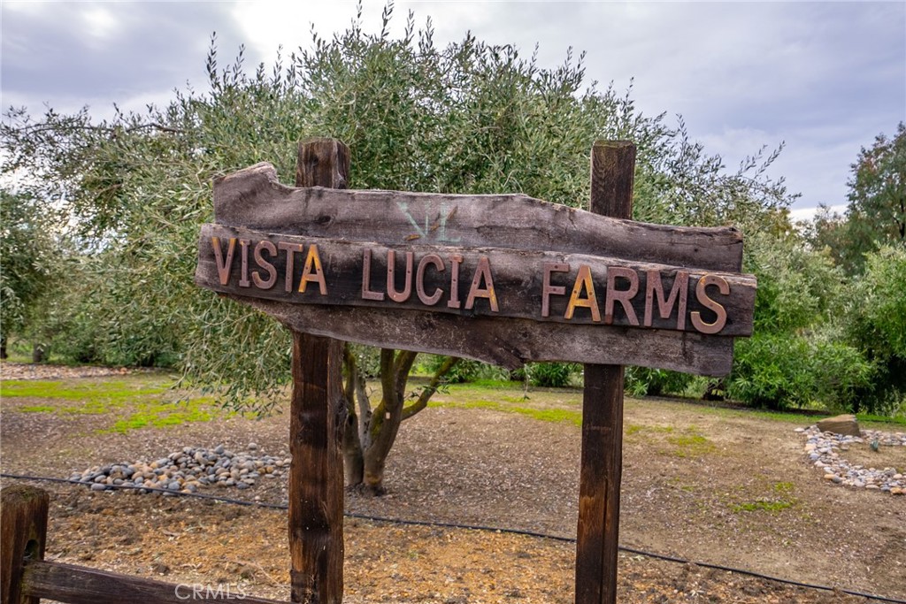 6175 Buckhorn Ridge Place