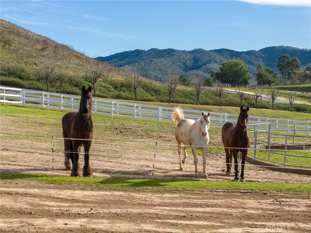 9610 Nacimiento Lake Drive