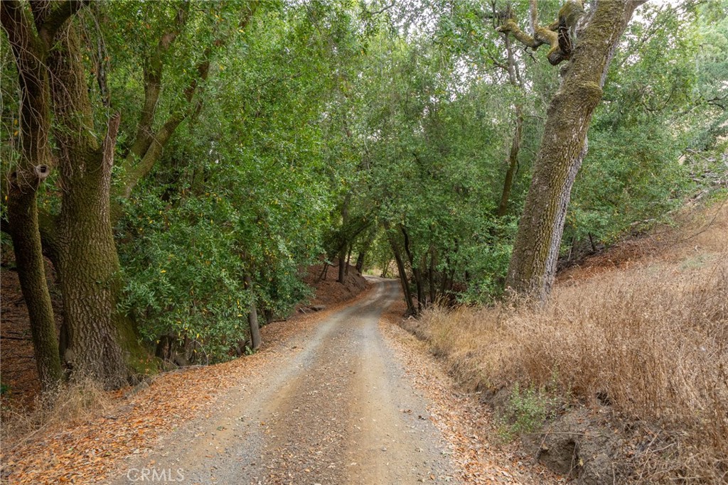 4550 Santa Rita Ranch Road