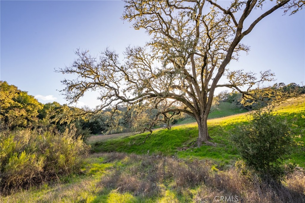 4550 Santa Rita Ranch Road