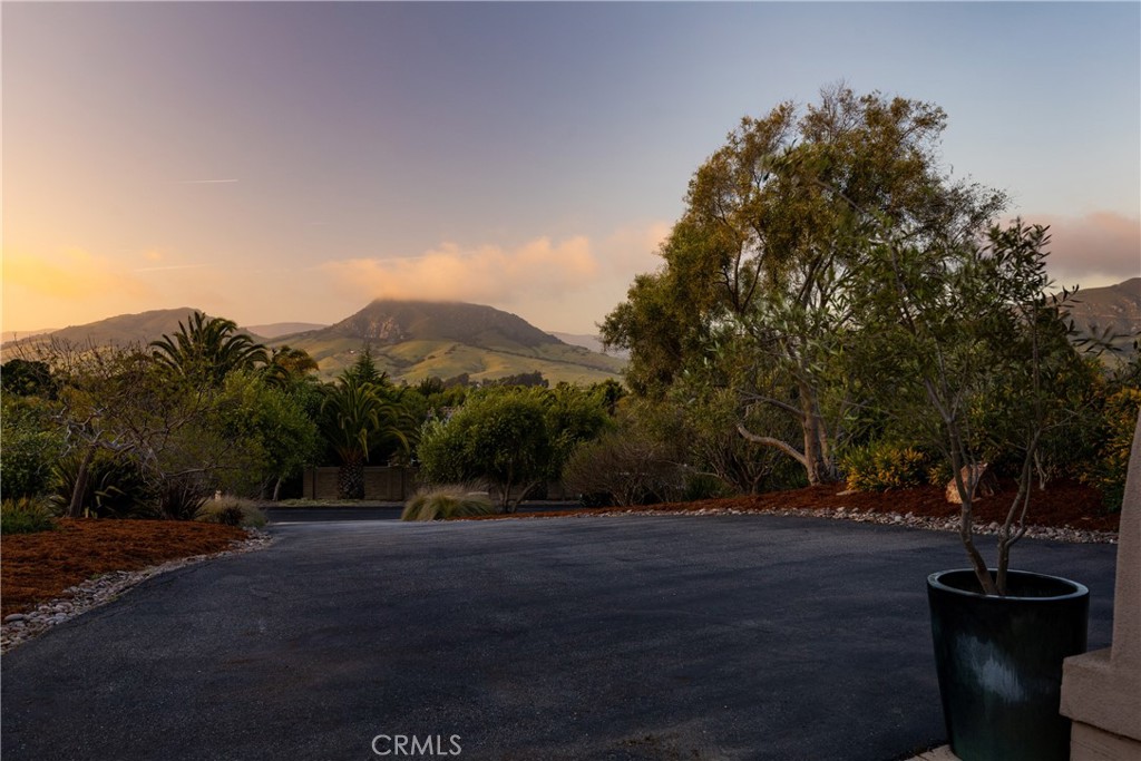 355 Slender Rock Place