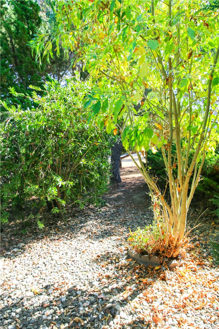 1710 Pineridge Drive