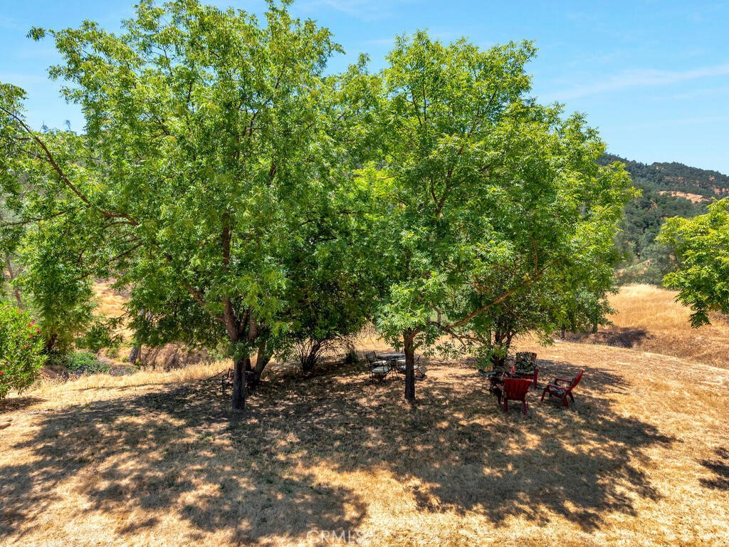 4699 Silver Saddle Lane