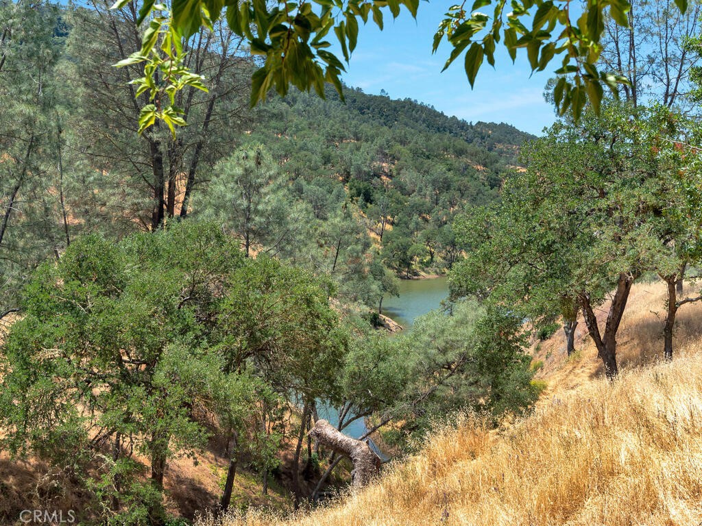 4699 Silver Saddle Lane