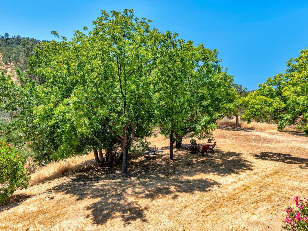 4699 Silver Saddle Lane