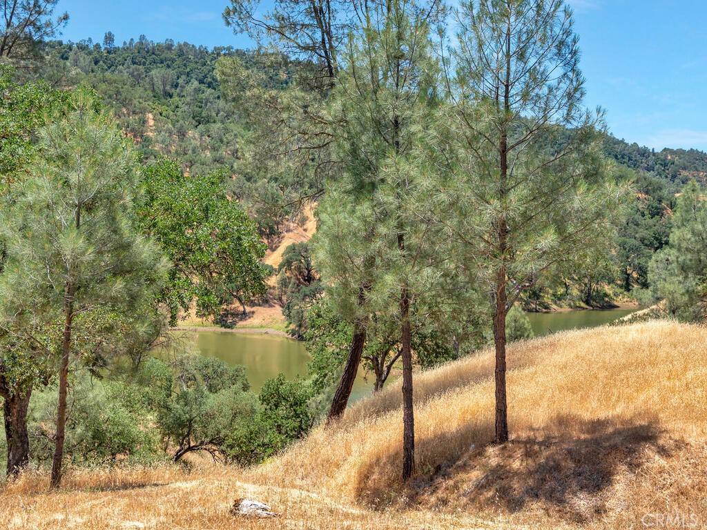 4699 Silver Saddle Lane