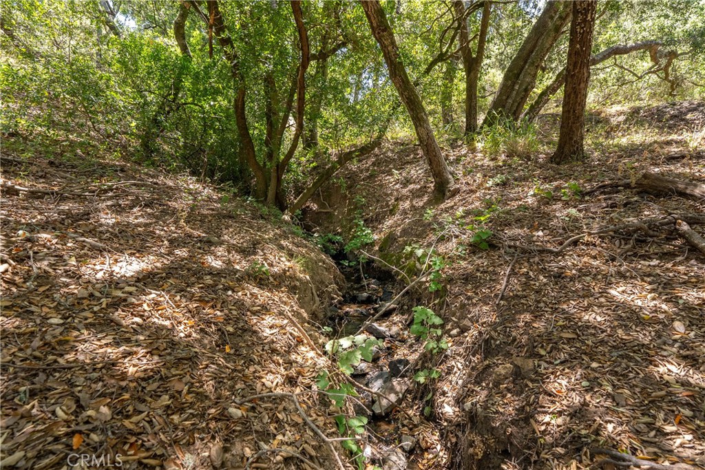 13935 San Miguel Road