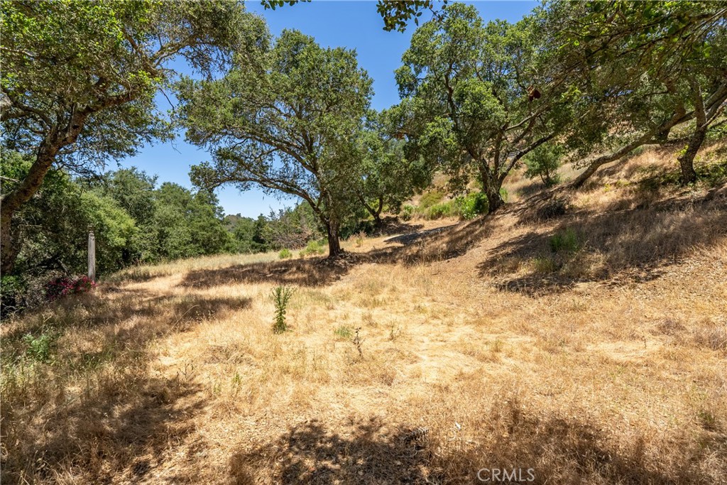 13935 San Miguel Road