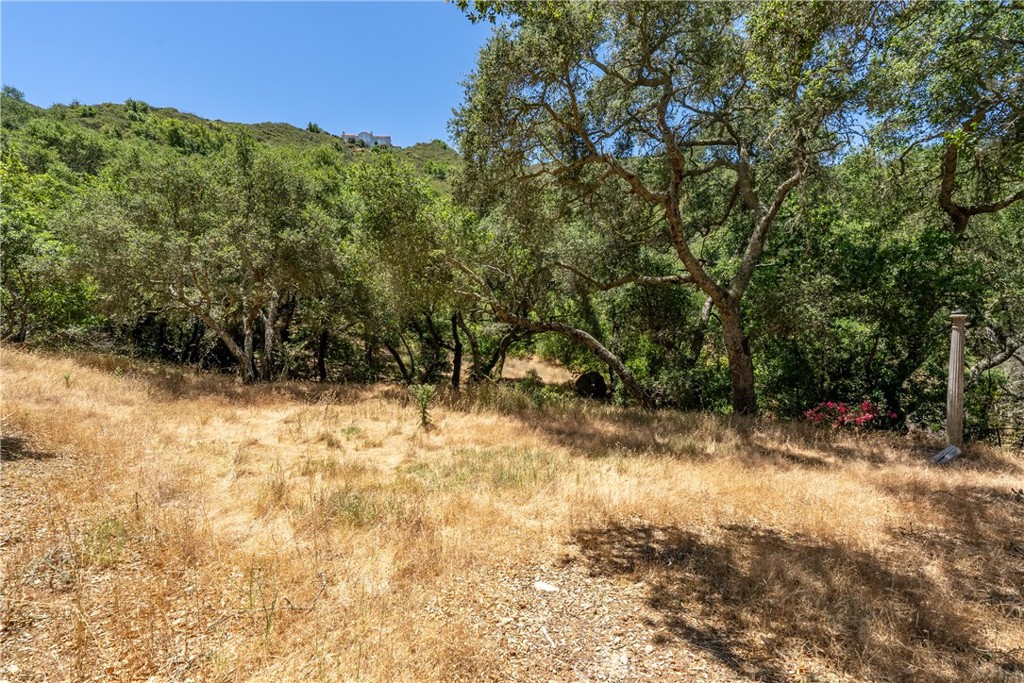 13935 San Miguel Road