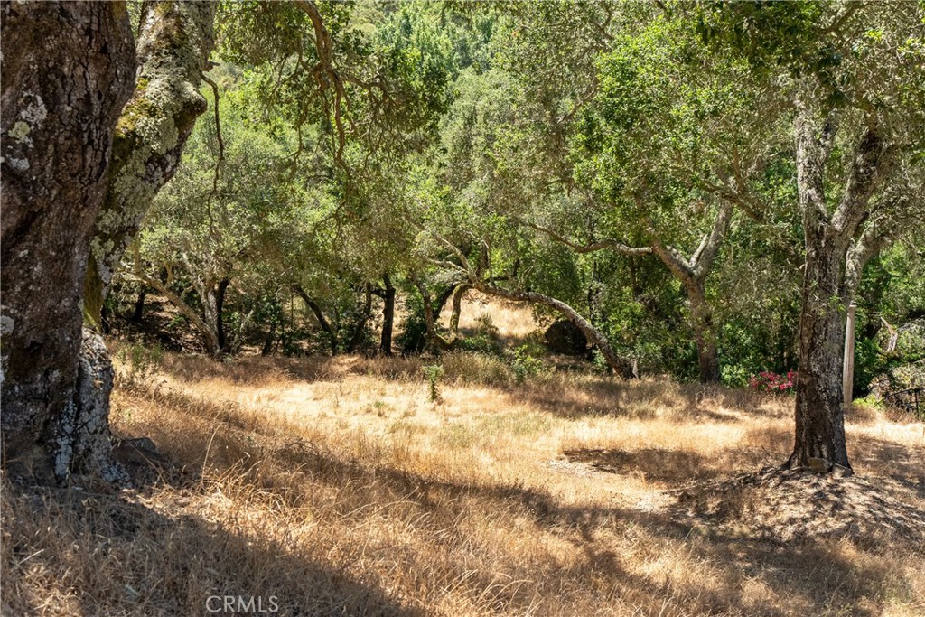 13935 San Miguel Road