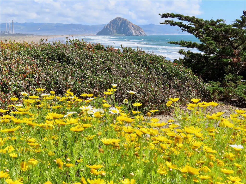 520 Yerba Buena Street