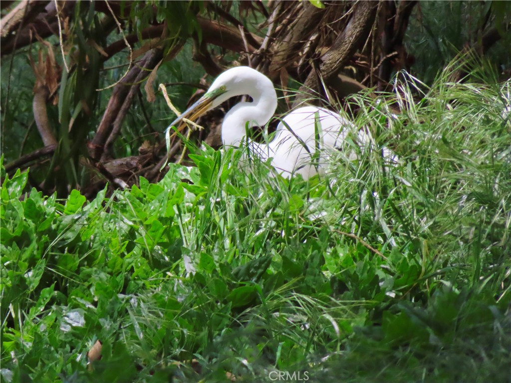 520 Yerba Buena Street