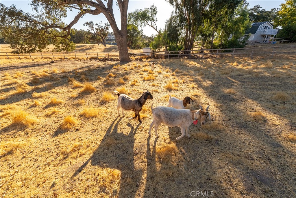 1285 Beaver Creek Lane