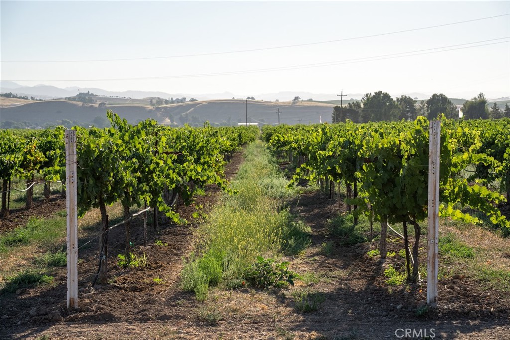 8585 Cross Canyons Road