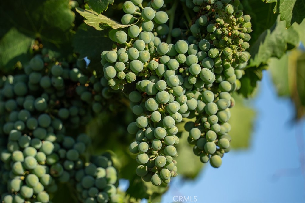 8585 Cross Canyons Road