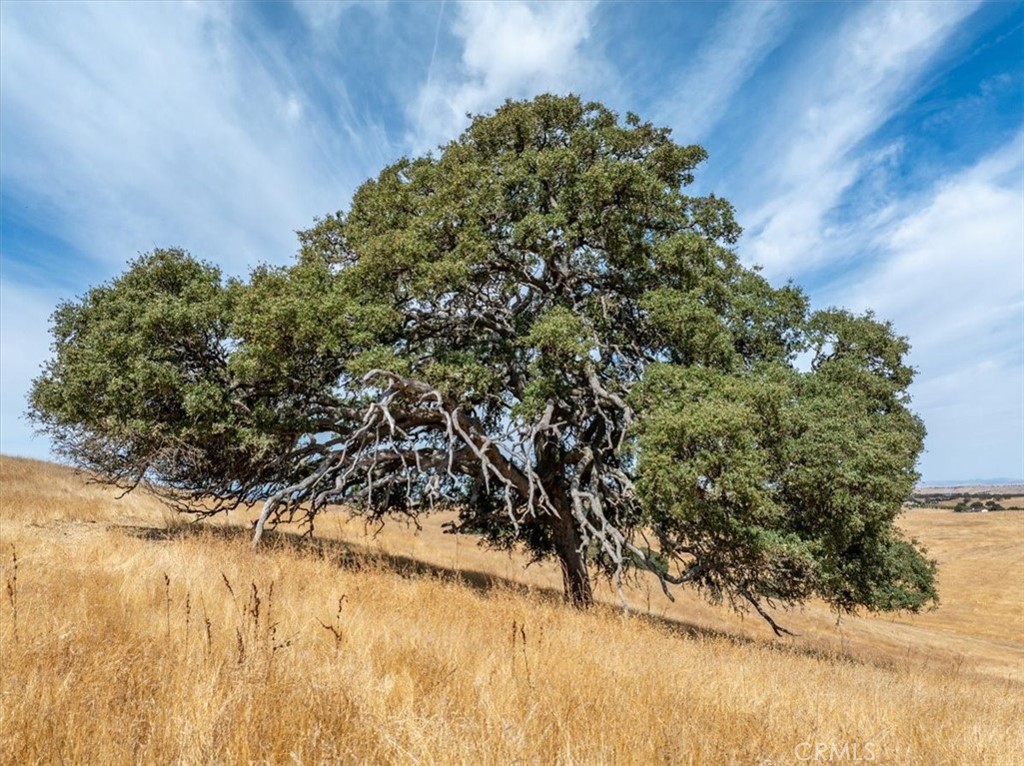 0 Vista Del Paso Way