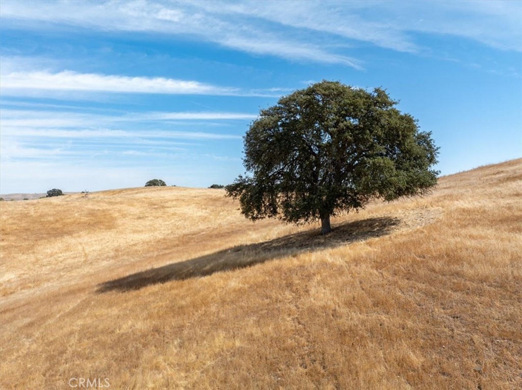 0 Vista Del Paso Way