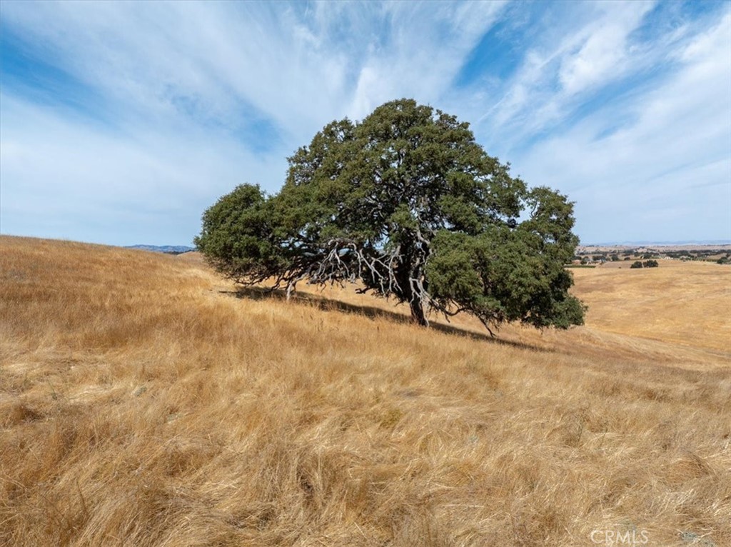 0 Vista Del Paso Way