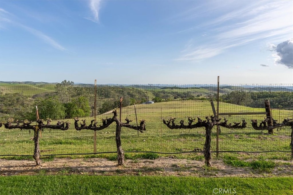 74941 Ranchita Avenue