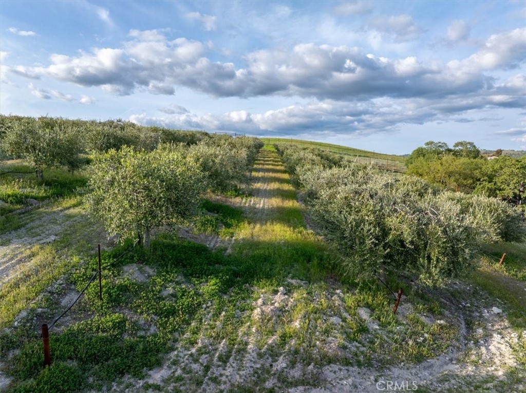 74941 Ranchita Avenue