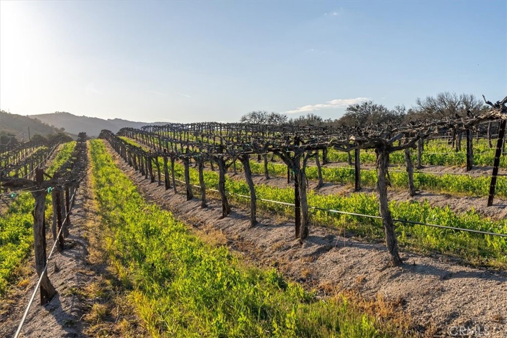 4275 & 4251 Stockdale Road