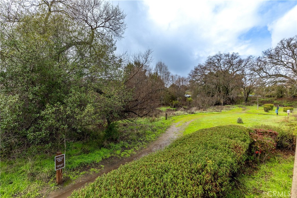 11816 Ranunculo Court