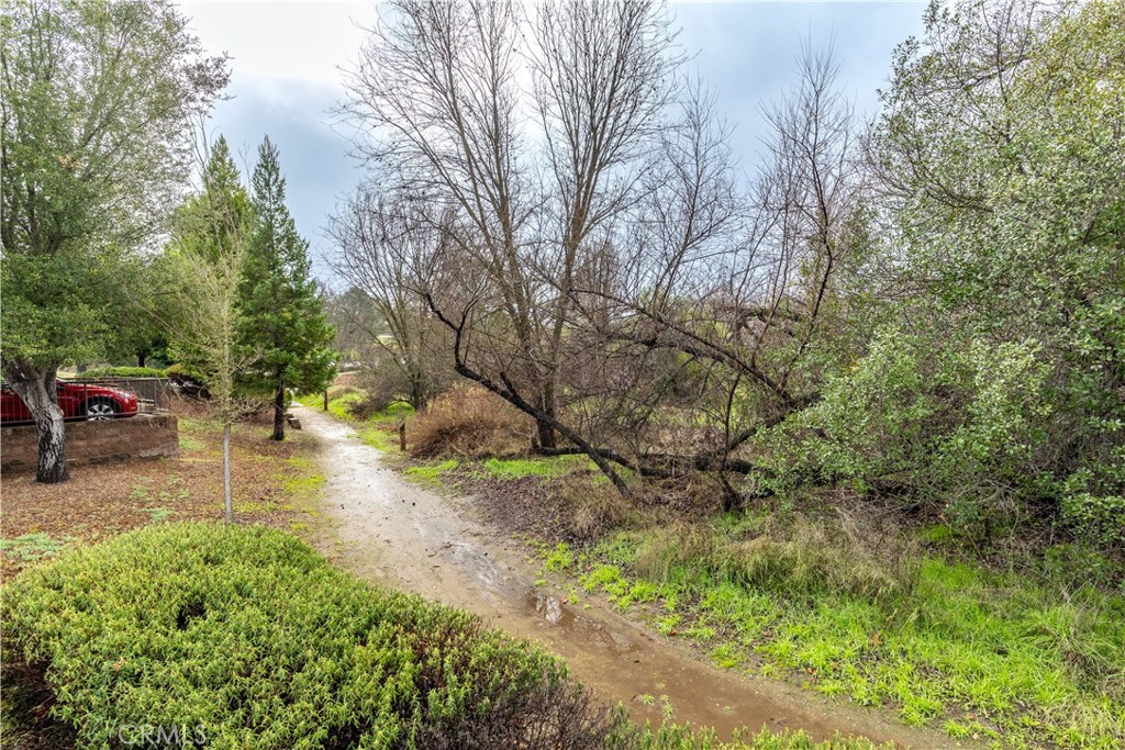 11816 Ranunculo Court