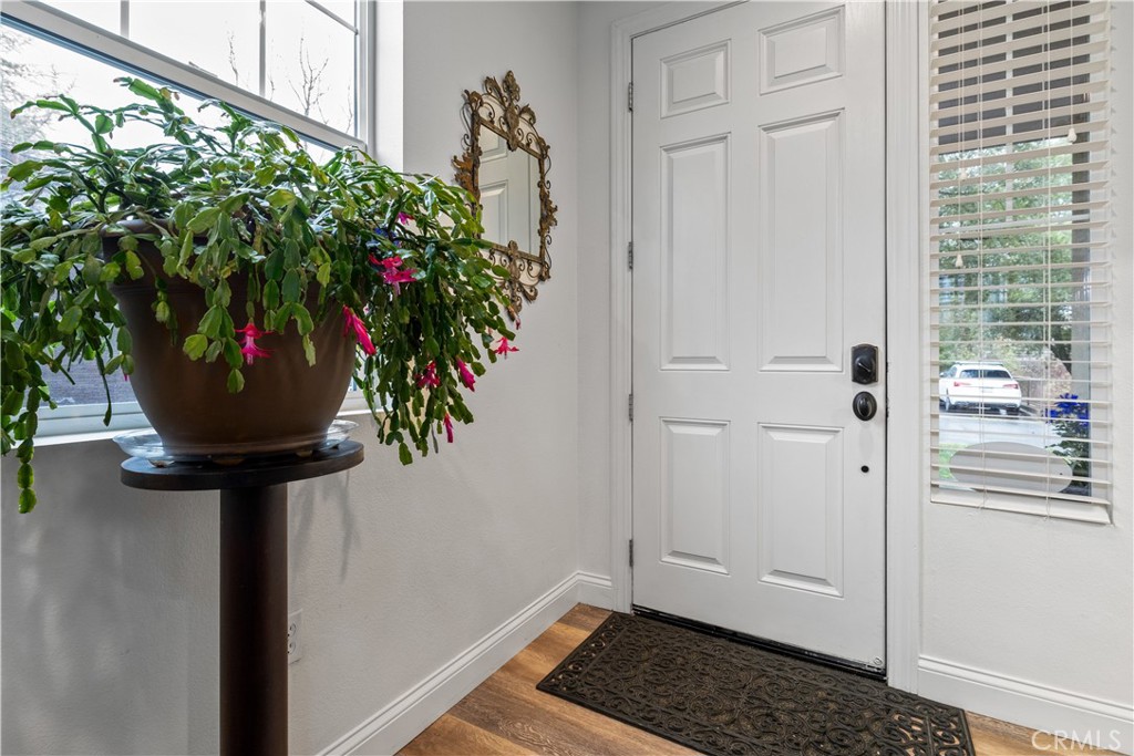 11816 Ranunculo Court