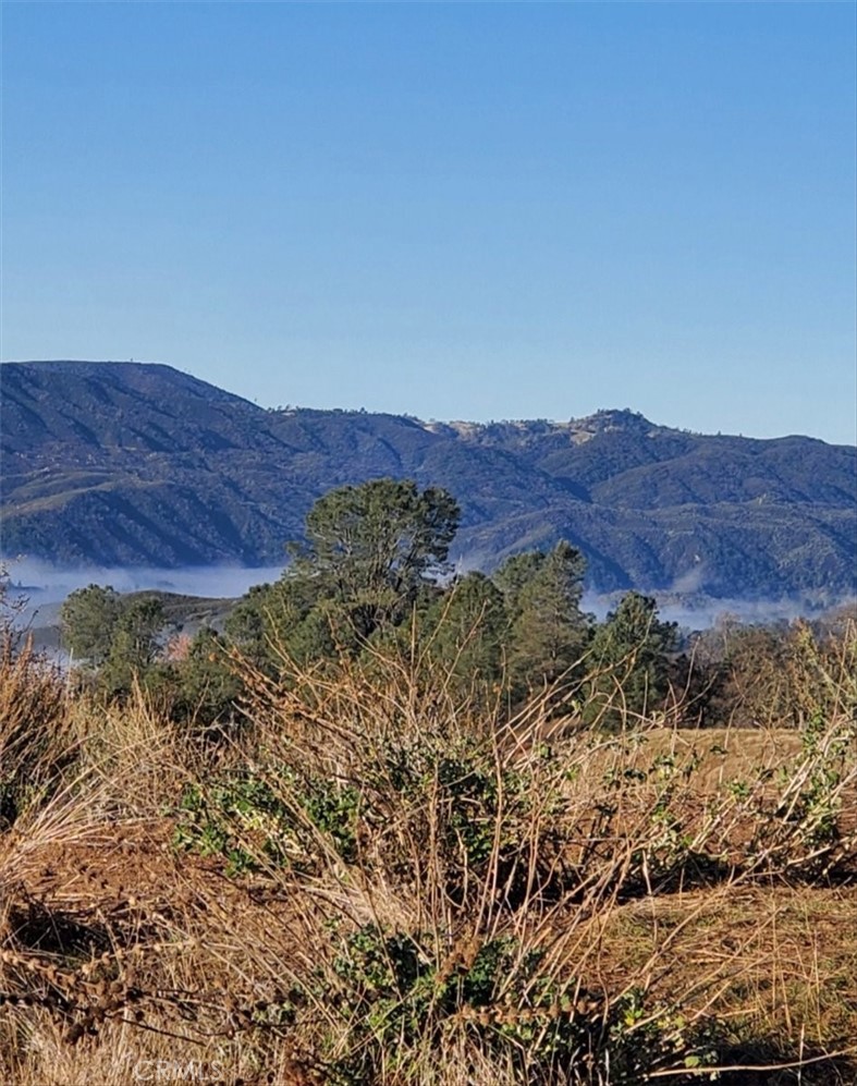 76284 Bryson Hesperia Road