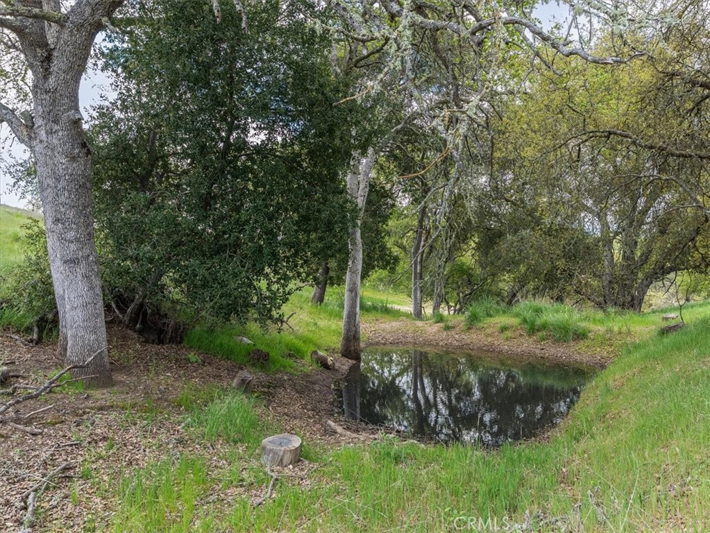 76284 Bryson Hesperia Road