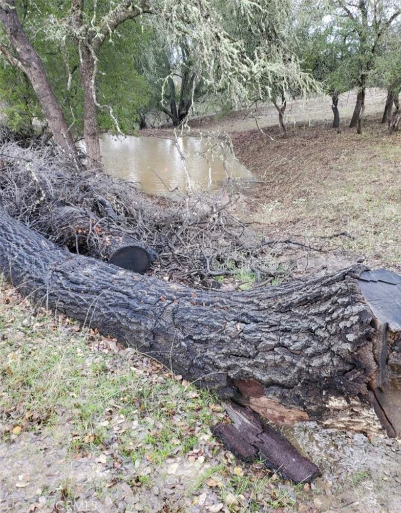 76284 Bryson Hesperia Road