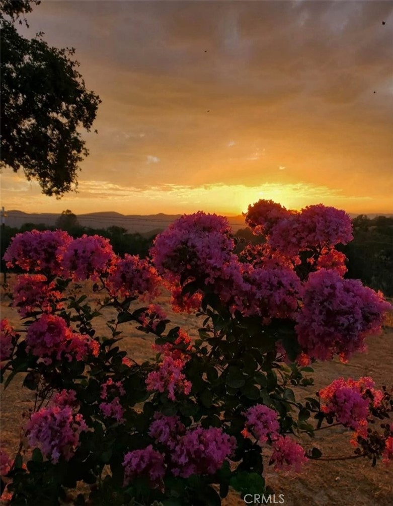 76284 Bryson Hesperia Road