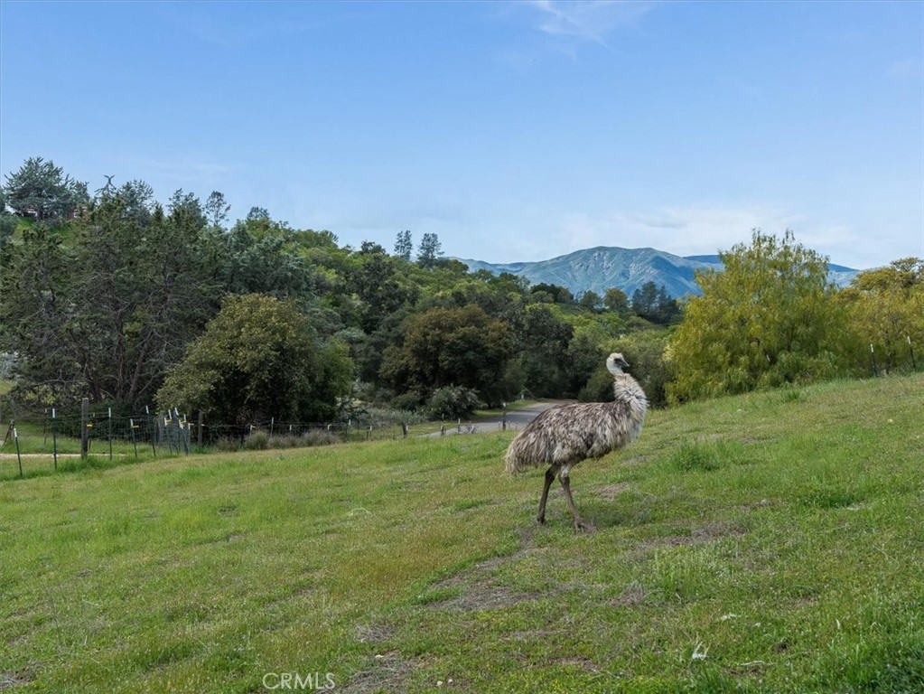 76284 Bryson Hesperia Road