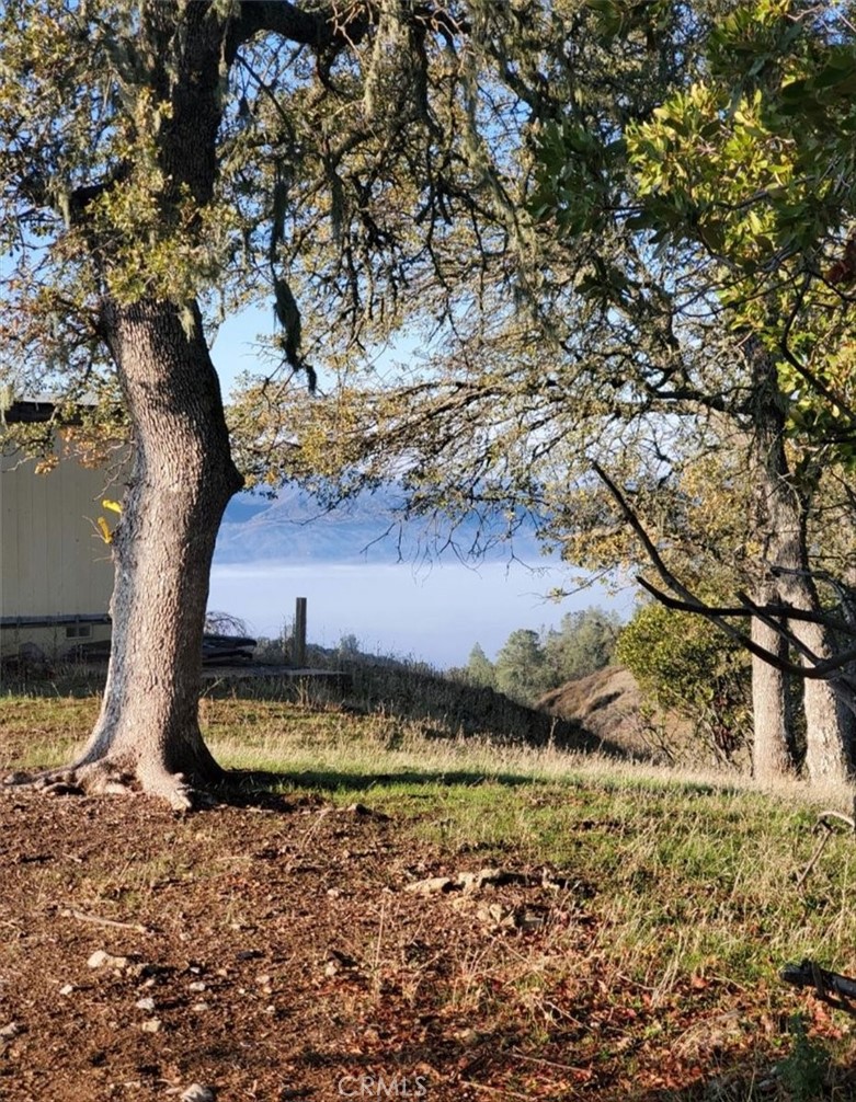 76284 Bryson Hesperia Road