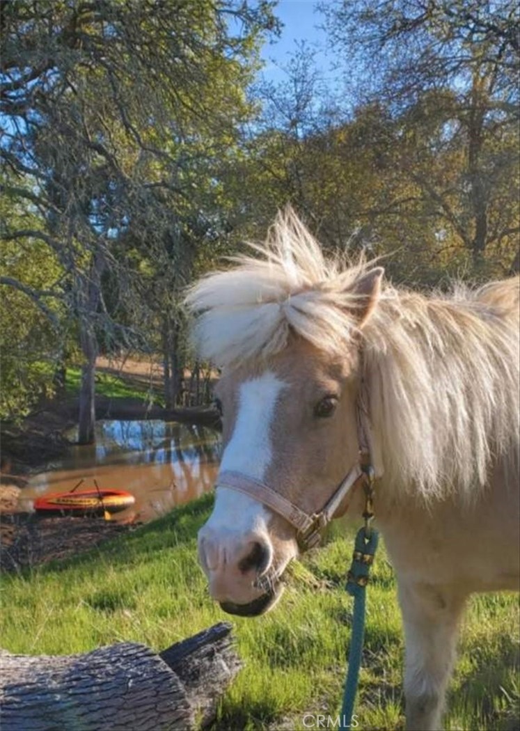 76284 Bryson Hesperia Road