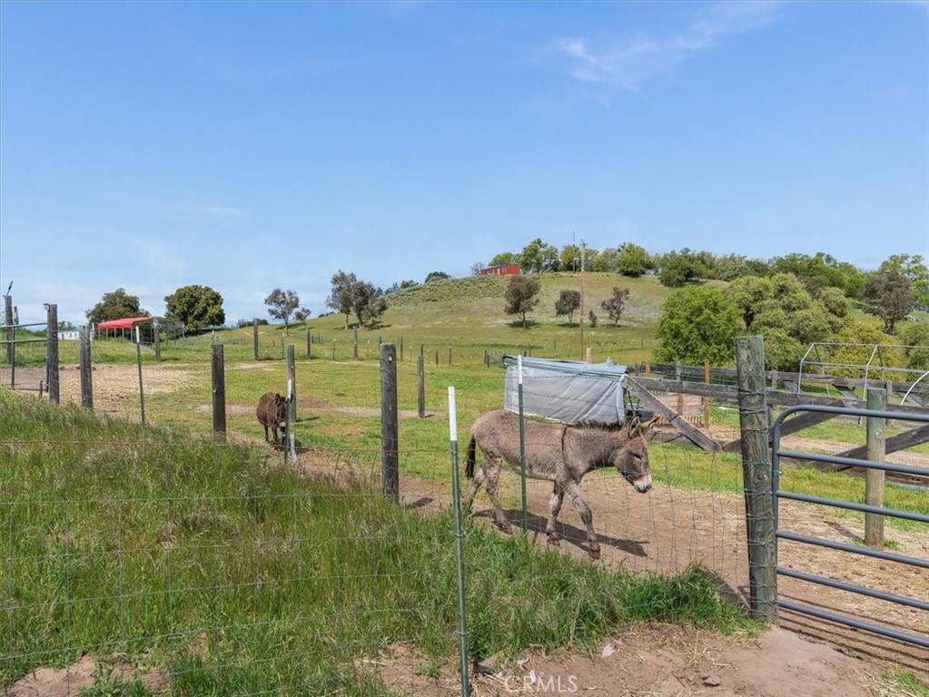 76284 Bryson Hesperia Road