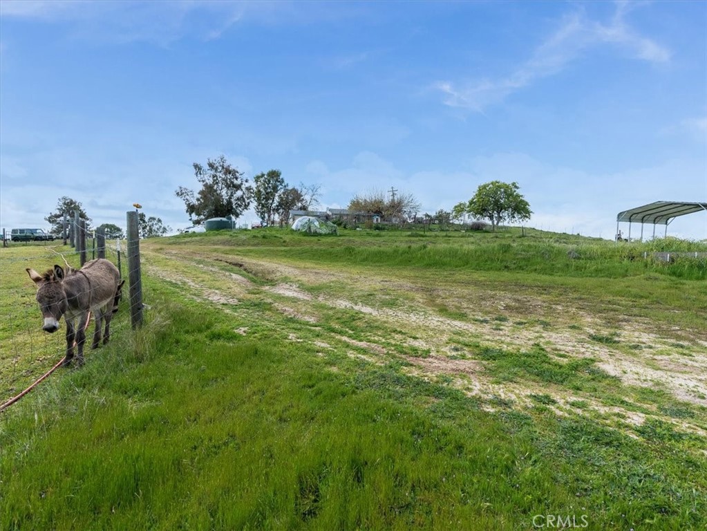 76284 Bryson Hesperia Road